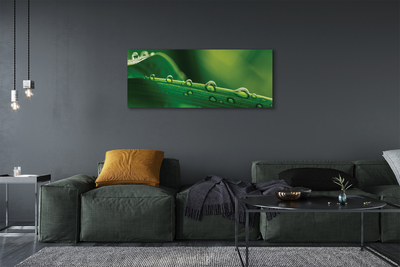 Pintura em tela Gotas de grama macro