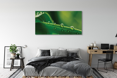 Pintura em tela Gotas de grama macro