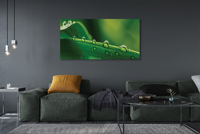 Pintura em tela Gotas de grama macro