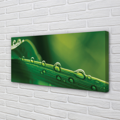 Pintura em tela Gotas de grama macro
