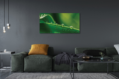 Pintura em tela Gotas de grama macro