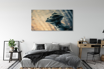 Quadro em tela Cabeça do personagem