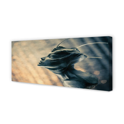 Quadro em tela Cabeça do personagem