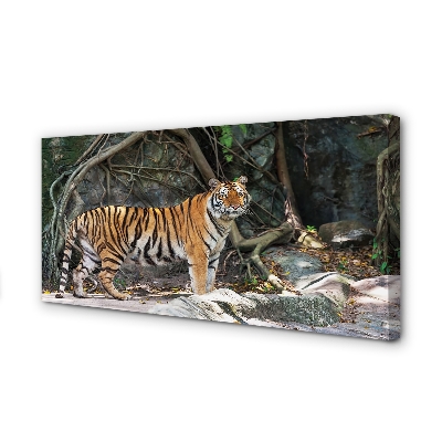 Quadro em tela Tigre da selva
