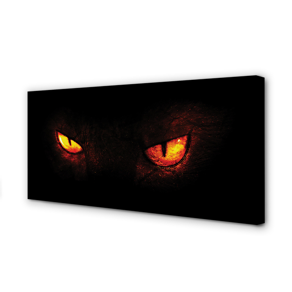 Quadro em tela Olhos brilhantes