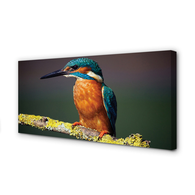 Pintura em tela Um pássaro colorido em um galho