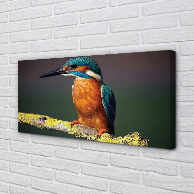 Pintura em tela Um pássaro colorido em um galho