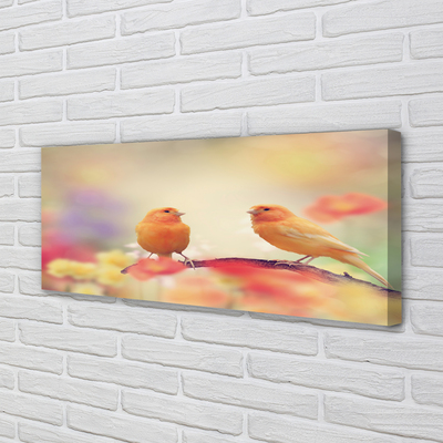 Quadro em tela Papagaios coloridos