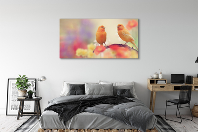 Quadro em tela Papagaios coloridos