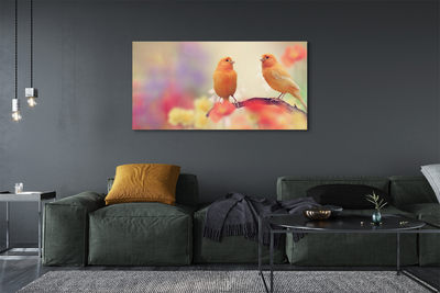 Quadro em tela Papagaios coloridos