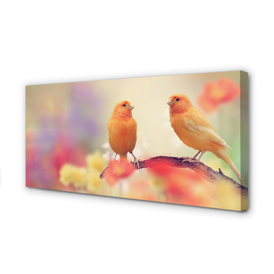Quadro em tela Papagaios coloridos