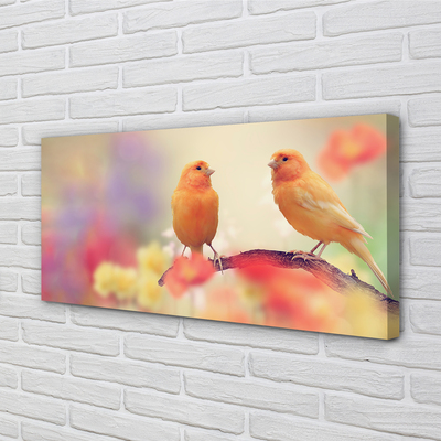 Quadro em tela Papagaios coloridos