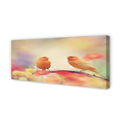 Quadro em tela Papagaios coloridos