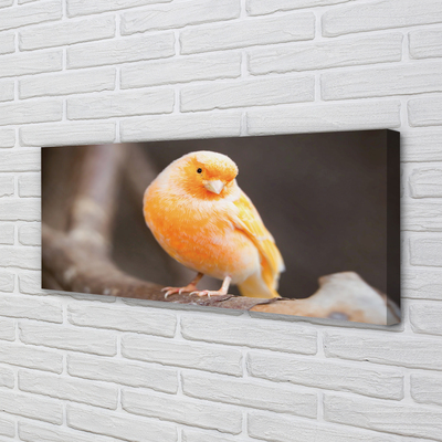 Pintura em tela Galho de papagaio