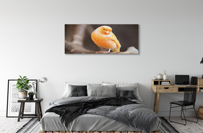 Pintura em tela Galho de papagaio