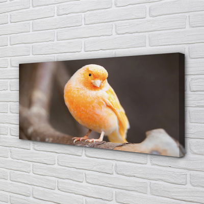 Pintura em tela Galho de papagaio