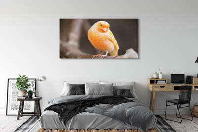 Pintura em tela Galho de papagaio