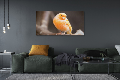 Pintura em tela Galho de papagaio