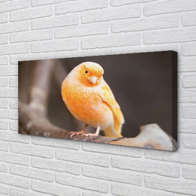 Pintura em tela Galho de papagaio