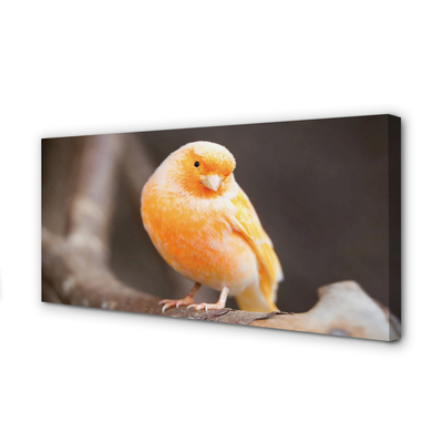 Pintura em tela Galho de papagaio