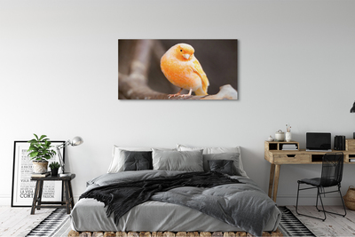 Pintura em tela Galho de papagaio