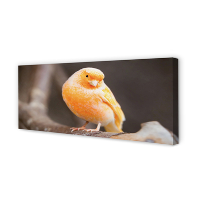 Pintura em tela Galho de papagaio