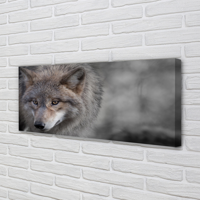 Pintura em tela Lobo