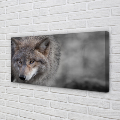 Pintura em tela Lobo