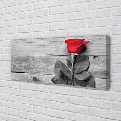 Pintura em tela Rosa