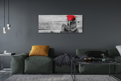 Pintura em tela Rosa