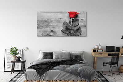 Pintura em tela Rosa