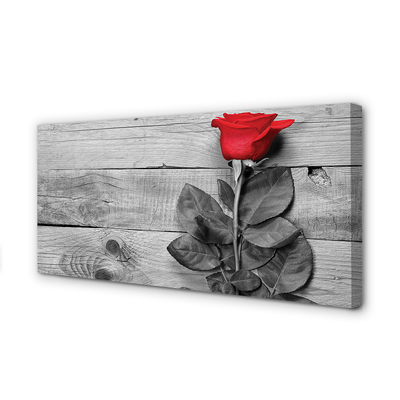 Pintura em tela Rosa