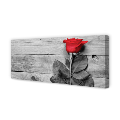 Pintura em tela Rosa