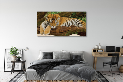 Pintura em tela Árvore-tigre