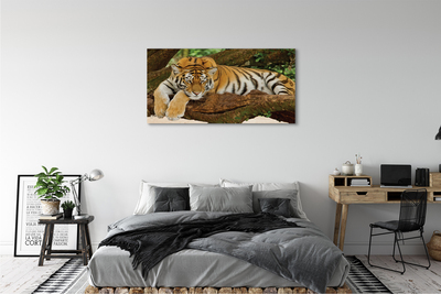 Pintura em tela Árvore-tigre
