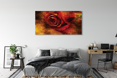 Quadro em tela Pintura de rosas