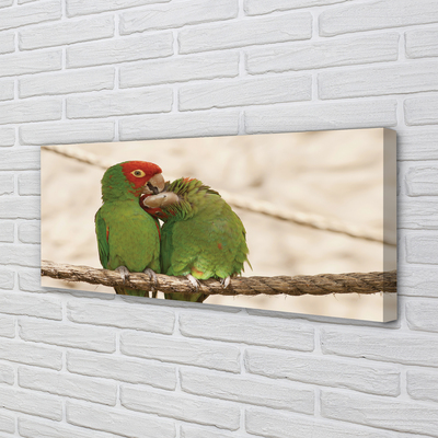 Quadro em tela Papagaios verdes