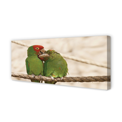 Quadro em tela Papagaios verdes