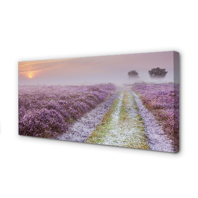 Quadro em tela Campo de urze