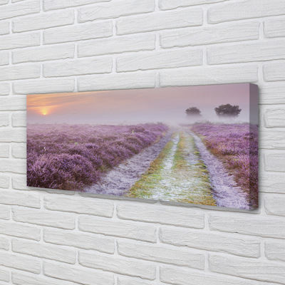 Quadro em tela Campo de urze