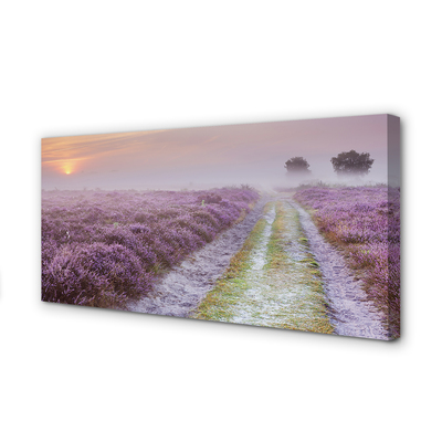 Quadro em tela Campo de urze