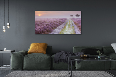 Quadro em tela Campo de urze