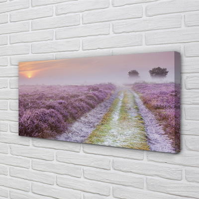 Quadro em tela Campo de urze