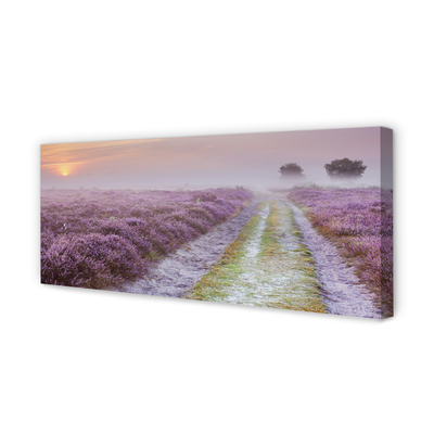 Quadro em tela Campo de urze