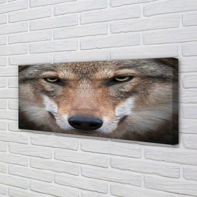 Quadro em tela Olhos de lobo