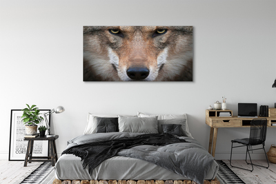 Quadro em tela Olhos de lobo