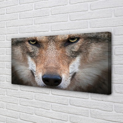 Quadro em tela Olhos de lobo