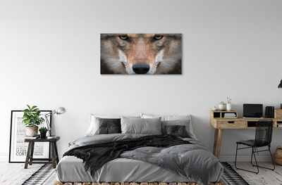 Quadro em tela Olhos de lobo