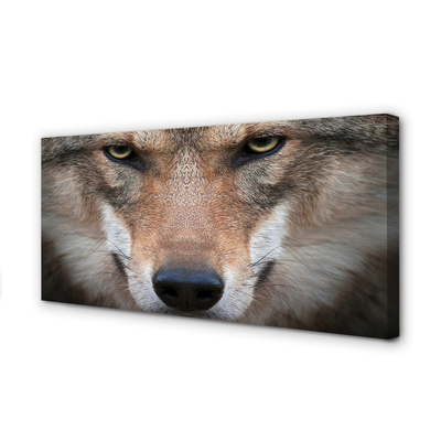 Quadro em tela Olhos de lobo
