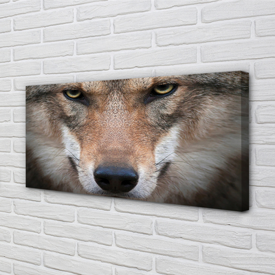 Quadro em tela Olhos de lobo